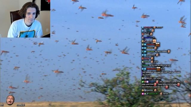 XQc Reacts To Swarm Of Locusts DEVOUR Everything In Their Path | Planet Earth | BBC Earth