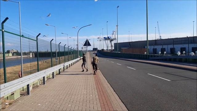 Möwenattacke, атака чаек смотреть онлайн