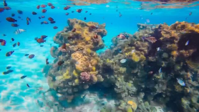 Marsa Alam, Egypt смотреть онлайн