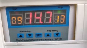 Высадил томаты в обогреваемую теплицу с подогревом грунта