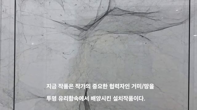 [갤러리 Tour]토마스 사라세노_갤러리현대.2019.10.30~12.08 смотреть онлайн