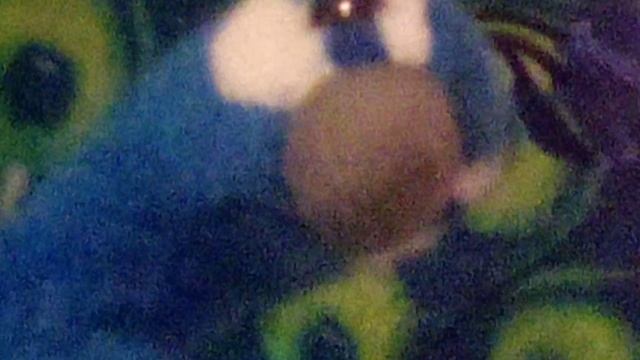 Mr. peacock 🦚 and Lisa the leopard 🐆 adventures episode 3 ( new characters🥳) смотреть онлайн