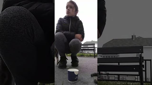 4 Котят на морозе😱 смотреть онлайн