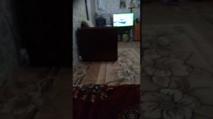 Стэн и оливия тихий час