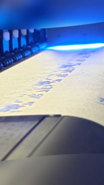 UV ROLL #vk #клипы #uvroll #печать #профессиональнаяпечать #i3200 #CMYK #золото #серебро #печать смотреть онлайн