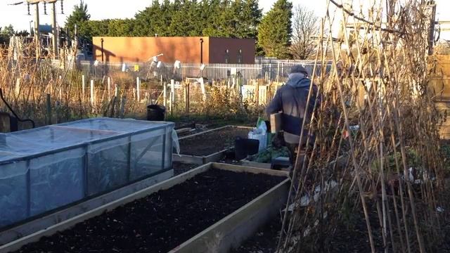 Allotment My Diary November 2016 - Week 4 No 82 смотреть онлайн