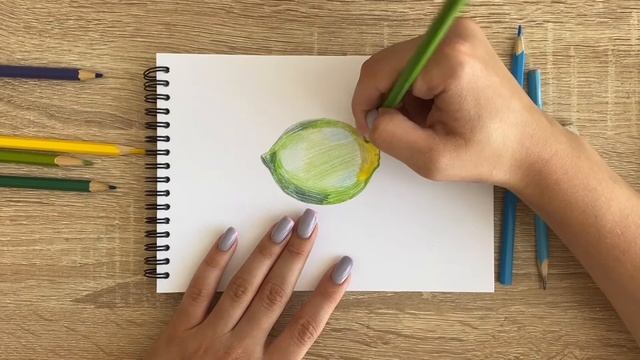 Рисунок цветными карандашами лайма | Поэтапная срисовка для начинающих смотреть онлайн