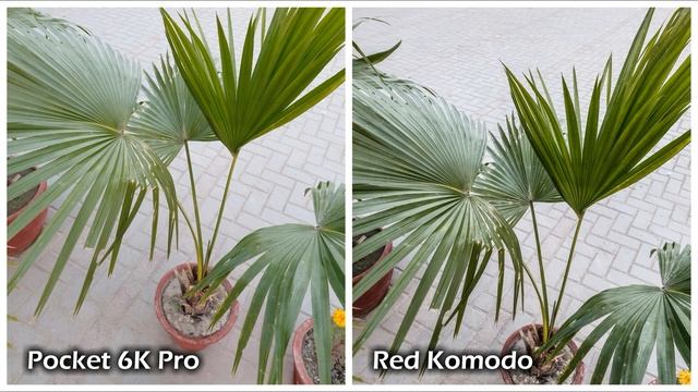 BlackMagic Pocket Cinema Camera 6K Pro vs Red Komodo Camera Test смотреть онлайн