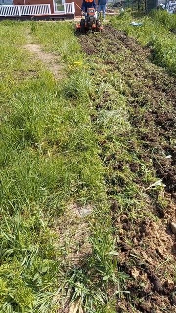 Культивирование непаханной земли мотоблоком 