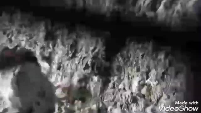 КАФТАРОИ ХДМ 06.07.2022🇹🇯🕊🇹🇯🕊🇹🇯🕊 смотреть онлайн