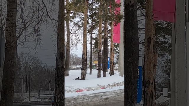 Бензин потерял ориентиры... смотреть онлайн