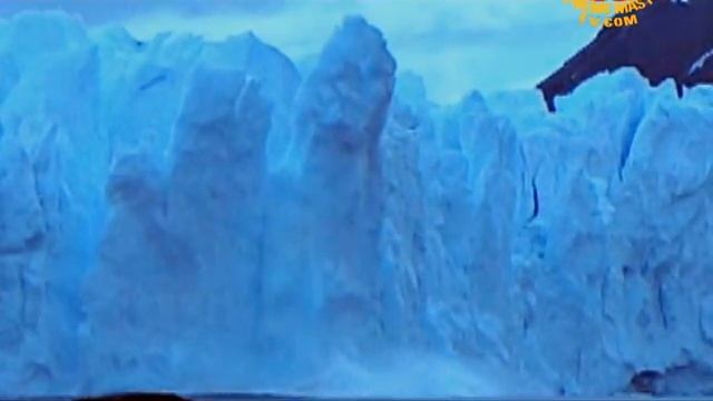 Meat And Global Warming: Uncovering Truths To Save The Planet (2/2)