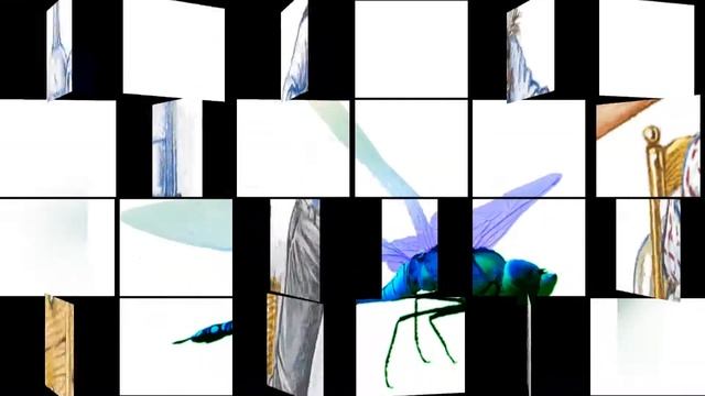 буктрейлер по книге ЛАРРИ "Невероятные приключение ..." смотреть онлайн