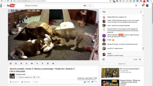 2017.01.12 19:19:56 Кусочки стрима 16.11.14-17.01.30 #3 смотреть онлайн