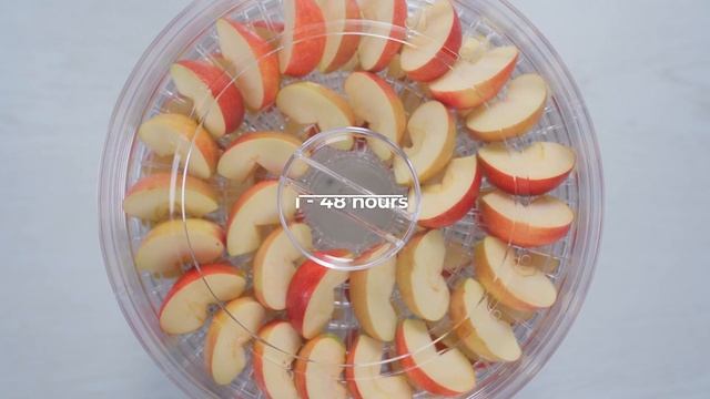 Food Dehydrator ARDESTO FDB-5321T смотреть онлайн