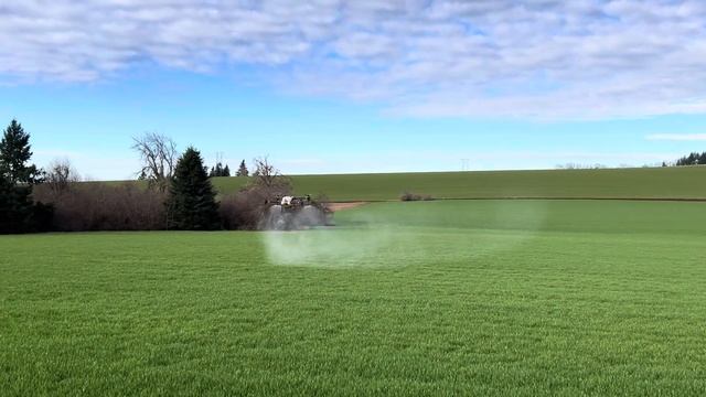 DJI AGRAS T40 Spraying Wheat! смотреть онлайн
