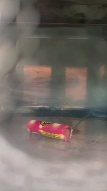Microwaving Firework 👨🏼🔬 #scienceproject #microwave #microdaddy #fireworks #science #fire