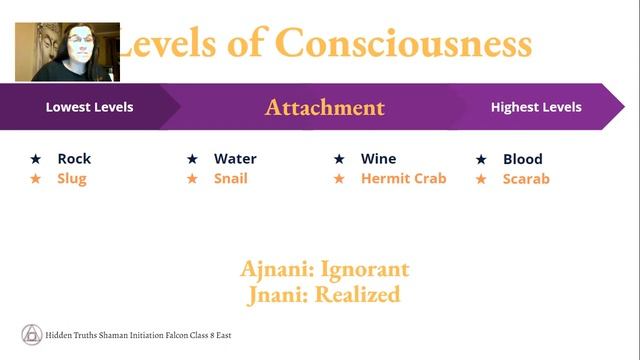 Moon & Caregiver Archetype in the Astrology Chart смотреть онлайн