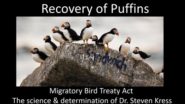 Our Ocean Planet In Three Acts: Staggering Diversity, Scary News & Reasons For Hope