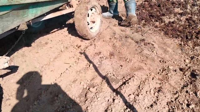як ми розвозили гній під картоплю смотреть онлайн
