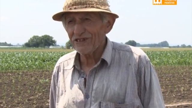 TV Pančevo - Sava i dalje konjem kroz povrtnjak смотреть онлайн