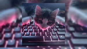 Бьянка - Мулен Руж