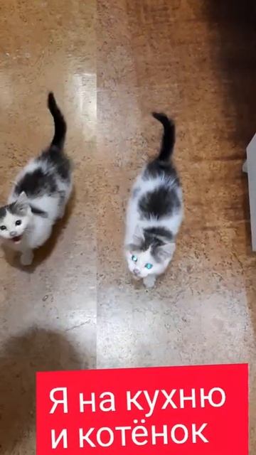 везде бегает за мной смотреть онлайн