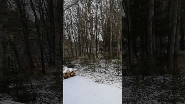 МОСКВА. КИНО ПАРК