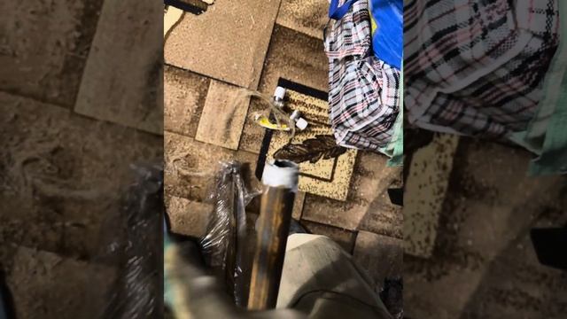 Замена конвектора на биметаллический радиатор рифар супремо.