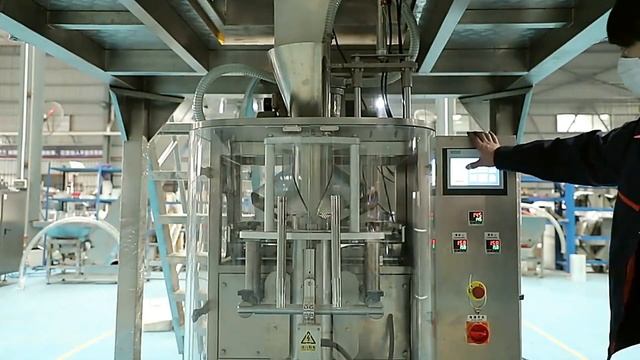 Multihead Weighing Packaging Machine Nuts Beans Granules Weight Bagging Equipment