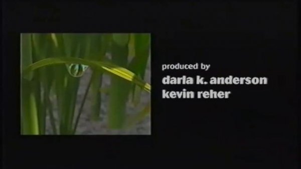 Timon And Pumbaa Rewind A Bug's Life 1997