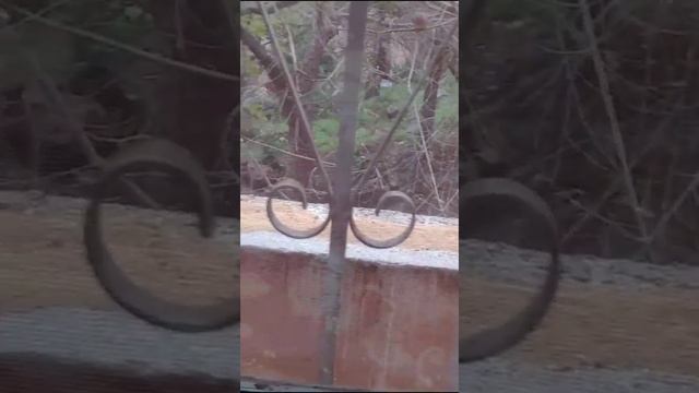 Вороны 2е кушают смотреть онлайн