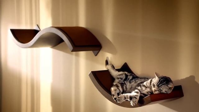 The Purina One Cat Indoor Cat Food Review смотреть онлайн