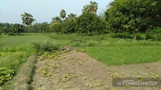 A vegetables garden, women working on garden,gardener,Garden,how to gardening, смотреть онлайн