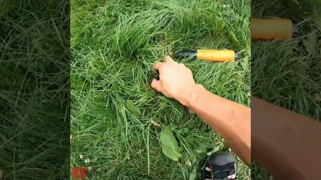 Have you ever lost something in the grass? смотреть онлайн