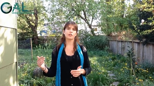 Global Animal Law GAL Presentation смотреть онлайн