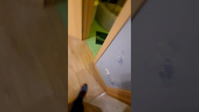 Рижский проспект 74А,кв 88(1) смотреть онлайн