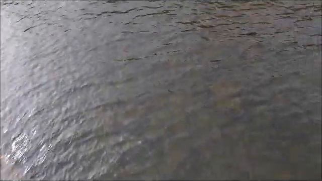Пул домашний смотреть онлайн