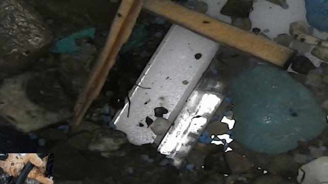 Муравьи смотреть онлайн