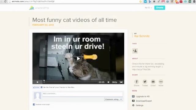 How To Download Videos From A Free Animoto Account.