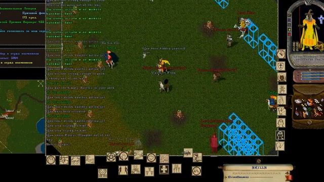 Ultima online bandicam 2015 05 25 23 07 40 660 смотреть онлайн
