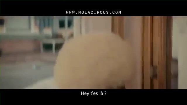 Nola circus bande-annonce teaser смотреть онлайн