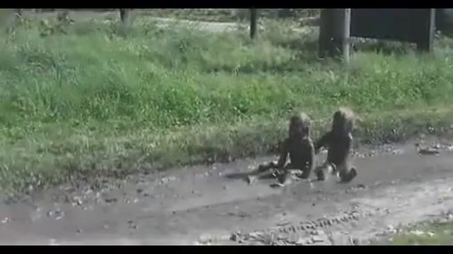 👽 obcy смотреть онлайн