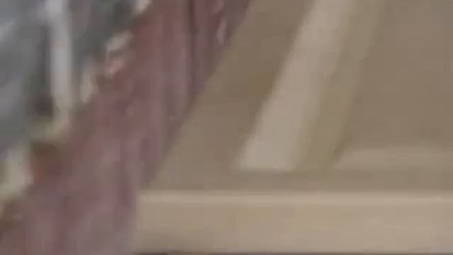 Duplex mpeg 1.mp4 смотреть онлайн