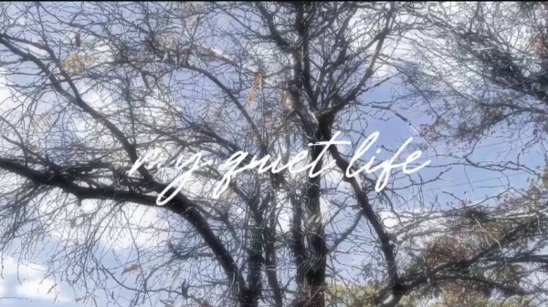 quiet life diaries: being productive, nature walks and book shopping in Autumn ౨ৎ (1)