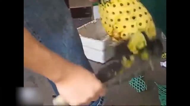 САМЫЕ БЫСТРЫЕ РАБОТНИКИ В МИРЕ мега потборка смотреть онлайн