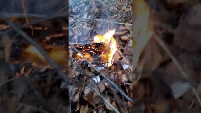 Сожжение Конституции РФ / Burning of the Constitution of the Russian Federation смотреть онлайн