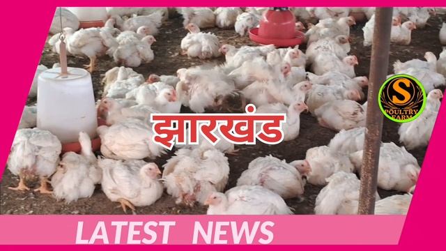 3June 2024 Ke Rate/poultry Rate Today/aaj Ka Thok Murga Mandi Rate/all District Poultry Rate Today