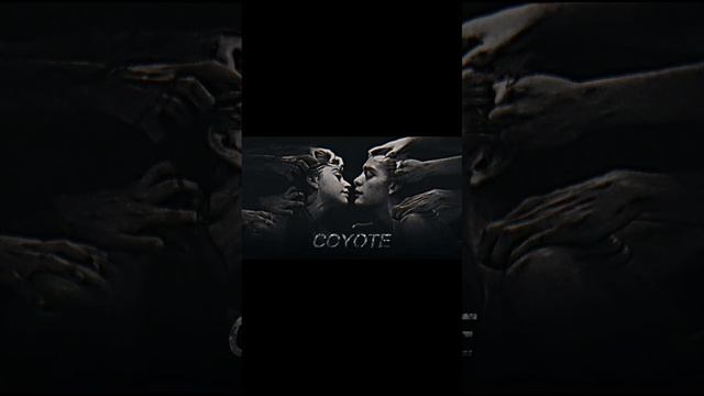 COYOTE смотреть онлайн