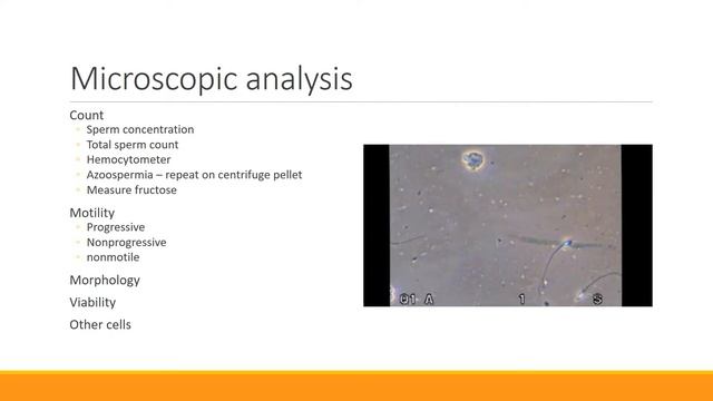 445-W6 Seminal Fluid смотреть онлайн